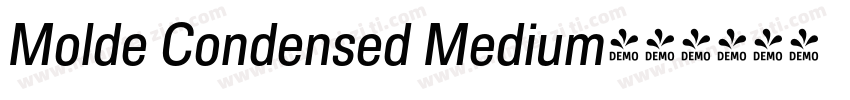 Molde Condensed Medium字体转换